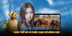 Đá Gà Trực Tiếp C3